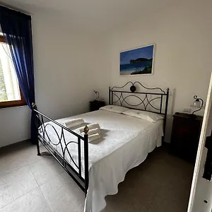 Pm 84b Via Degli Orti Appartamento